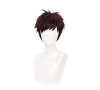 My Hero Academia Revisione Chisaki Kai Parrucca corta Costume cosplay Boku no Hero Academia Capelli sintetici Festa di ruolo Parrucche