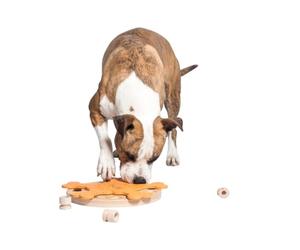 My Intelligent Pets Carousel of Bones Giocattolo Intelligente per Cani Distributore di Dolcetti Interattivo Giocattolo per Cuccioli, Giochi di Attivazione Mentale per Cani Puzzle Interattivo per Cani