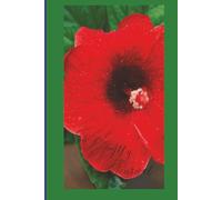 My Journal: For those who love Gambia and its culture