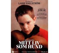 My Life As A Dog (1985) ( Mitt liv som hund ) [ NON-USA FORMAT, PAL, Reg.0 Import - Sweden ]