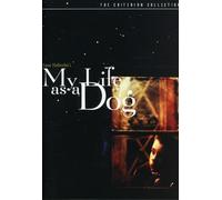 My Life as a Dog (Criterion Collection)