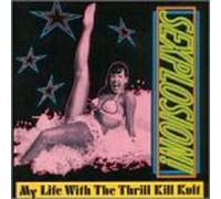 My Life With the Thrill Kill K - Sexplosion