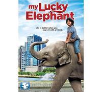 My Lucky Elephant