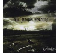 My Minds Weapon - Carrion Sky, The