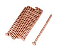 MY MIRONEY Confezione da 10 chiodi in rame massiccio per unghie in rame da 10 cm per lamelle e coperture