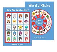 My Moods, my scelte"How are you Feeling?""e" ruota di scelta manifesti; 20 different Moods/emozioni; educativo/Learning Tool; include 2 poster 12x16 inches