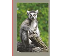 My Notebook: For those who love Madagascar and its culture