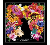 My Panda Shall Fly - Tropical