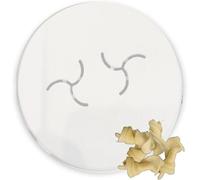 MY Pasta - Fusilli XL - matrici a dischi per macchine per la pasta | matrice avanzata per tagliatelle fatte in casa compatibile con macchina per la pasta serie 7000 | Macchina per la pasta