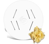 MY Pasta - Mafaldine - Accessori per pasta - Pasta disco compatibile con Philips Pasta Maker Avance - Matrici pastadisc per pasta fatta in casa