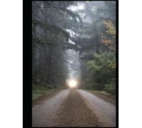 My Peaceful Journey: A Path to the Light Writing Journal