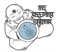 MY SLEEPING KARMA - SATYA