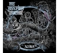 My Sleeping Karma - Soma