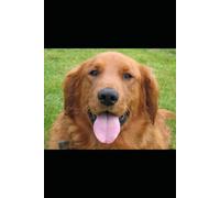 My Story of Progress