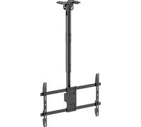 my wall Supporto mobile per TV da soffitto - HD8L, supporto da soffitto per TV da 43"-86", girevole e inclinabile, asta telescopica, max. 60 kg, supporto da soffitto per TV per soffitti piatti e