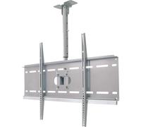 MYW HP3L - Supporto a soffitto da 37'' - 63''