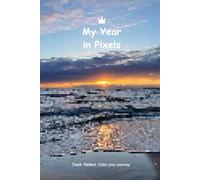 My Year in Pixels: A color coded journal to track your year, one day at a time