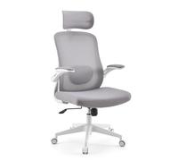 MyBuero Home Office VERTUFLEX - Sedia da ufficio ergonomica 4D, supporto lombare regolabile in altezza, braccioli ribaltabili, colore: Grigio