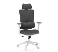 MyBuero Sedia girevole ergonomica ERGOMY I WF sedia da ufficio con supporto lordosi flessibile, poggiatesta e braccioli regolabili in altezza, tessuto grigio