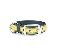 MyFamily Collare per Cane Regolabile in Vera Pelle Italiana Made in Italy, Finiture Metalliche in Bronzo Bianco, Confortevole e Resistente, Fatto a Mano, Collezione Firenze