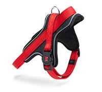MyFamily Pettorina Cane in Poliestere Made in Italy, Dati Anagrafici del Tuo Cane Sempre Con Te, Connessione Smartphone con Tecnologia NFC, Modello Y, Collezione Memopet (Taglia XL)