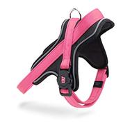 MyFamily Pettorina Cane in Poliestere Made in Italy, Dati Anagrafici del Tuo Cane Sempre Con Te, Connessione Smartphone con Tecnologia NFC, Modello Y, Collezione Memopet (Taglia XS)