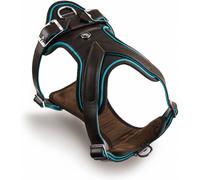 MyFamily Pettorina H in Pelle per Cani Turchese e Marrone Hermitage S