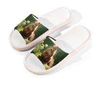Myfsucce Pantofole da donna, con punta aperta, antiscivolo, comode, traspiranti, estive, in lino, pantofole da casa per donne e uomini, per interni, Scoiattolo Foresta, 40/40.5 EU