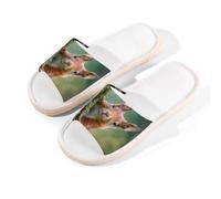 Myfsucce Pantofole da donna, con punta aperta, antiscivolo, comode, traspiranti, estive, in lino, pantofole da casa per donne e uomini, per interni, Scoiattolo animale della foresta, 38.5/39.5 EU