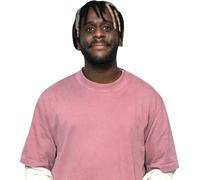 Myles Smith (Pink T-Shirt) Half Body Buddy Cutout