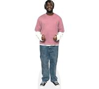 Myles Smith (Pink T-Shirt) mini formato