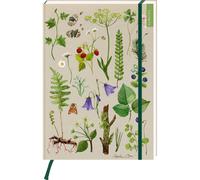 myNOTES Carta: Quaderno A4 Tesori naturali: foresta e fiori di prato | Maxi-B...