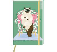 myNOTES Papeterie: Notizbuch A5 Katzen regieren die Welt: Blankbook medium (A5), gepunktet, für Notizen, Pläne, Ideen