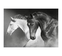 MyPuzzle Cavalli Al Galoppo Nel Deserto - Premium 1000 Pezzi Puzzle - MyPuzzle Collezione speciale di Puzzle Galaxy