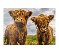 MyPuzzle Due Dolci Mucche Delle Highlands - Premium 1000 Pezzi Puzzle - MyPuzzle Collezione speciale di Puzzle Galaxy