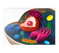 MyPuzzle La Struttura Di Una Cellula Biologica (modello 3D) - Premium 500 Pezzi Puzzle - MyPuzzle Collezione speciale di Puzzle Galaxy