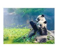 MyPuzzle Mamma Panda E Il Suo Piccolo Panda Mangiano Bambù - Premium 1000 Pezzi Puzzle - MyPuzzle Collezione speciale di Puzzle Galaxy