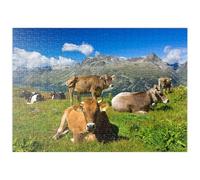 MyPuzzle Mucche Sul Sentiero Corvatsch-Murtel Con Il Piz Polaschin E I Laghi Dell'Alta Engadina, St. Moritz - Premium 500 Pezzi Puzzle - MyPuzzle Collezione speciale di Puzzle Galaxy