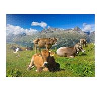 MyPuzzle Mucche Sul Sentiero Corvatsch-Murtel Con Il Piz Polaschin E I Laghi Dell'Alta Engadina, St. Moritz - Premium 1000 Pezzi Puzzle - MyPuzzle Collezione speciale di Puzzle Galaxy