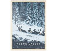 MyPuzzle Parco Nazionale Della Valle Di Kobuk: Paese Delle Meraviglie Invernali, Poster D'epoca - Premium 1000 Pezzi Puzzle - MyPuzzle Collezione speciale di Anderson Design Group