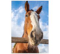 MyPuzzle Primo Piano Di Un Cavallo Clydesdale Davanti A Un Cielo Blu - Premium 500 Pezzi Puzzle - MyPuzzle Collezione speciale di Puzzle Galaxy