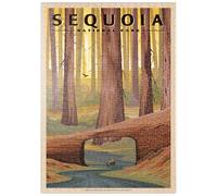 MyPuzzle Sequoia National Park - Tunnel Log, Vintage Travel Poster - Premium 500 Pezzi Puzzle - MyPuzzle Collezione speciale di Havana Puzzle Company
