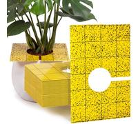 Mysora Confezione da 50 trappole adesive pretagliate gialle per moscerini, 7,6 x 12,7 cm, a doppio lato, con foro centrale, per interni ed esterni, piante volanti, insetti, funghi, mosche bianche
