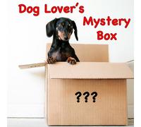 MYSTERY BOX Cane Scatola Sorpresa Cuccioli Collari Accessori Giochi Pezzi 5 PV