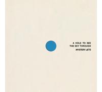 Mystery Jets A Hole to See the Sky Through (Vinyl LP)