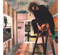 Mystery Jets, the - You Can't Fool Me Dennis [Import]