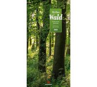 Mythos Wald Literatur-Kalender 2026 | Abwechslungsreicher Natur-Kalender im schlanken Hochformat (33x66 cm) | Wald-Motive mit Zitaten