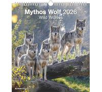 Mythos Wolf 2026 - Foto-Kalender - Wand-Kalender - 30x34: Wild Wolves