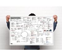 myUSMLE - Poster medico biochimica Pathways 36 x 24 inches Standard non laminato.
