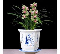 MYUYEE Set di 1 Vaso in Ceramica Blu e Bianco vasi da Fiori in Ceramica Cinese Vaso Decorativo per Piante grasse con vassoi per Interni Esterni scrivania Giardino,Un